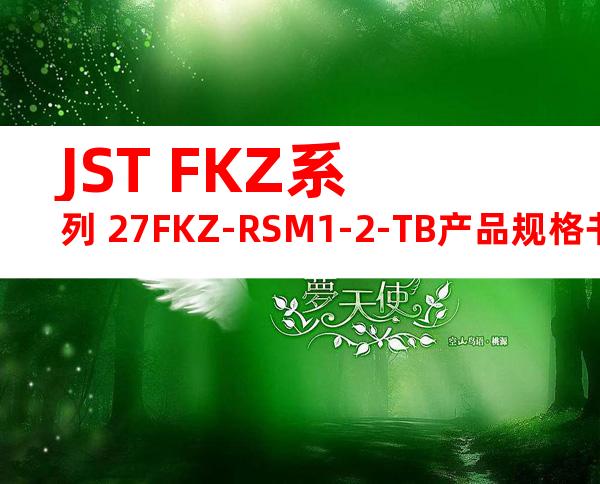 JST FKZ系列 27FKZ-RSM1-2-TB产品规格书